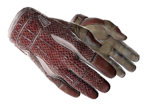 ★ Sport Gloves | Slingshot (Field-Tested)